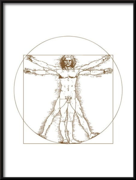L'homme de Vitruve