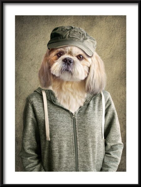 Chien dans une affiche de survêtement