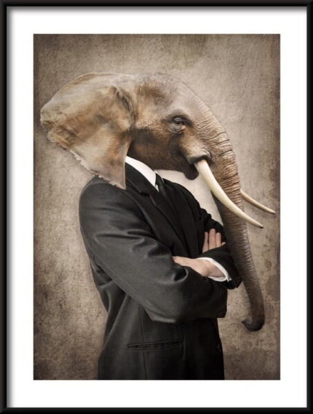 L'éléphant en costume Poster
