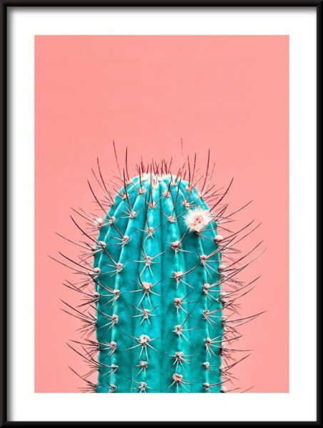 Cactus vert Poster