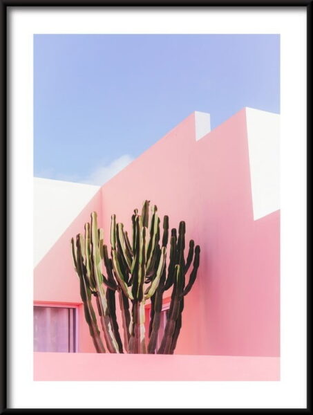 Affiche Cactus sur fond de roses
