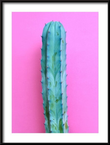 Humeur de néon de cactus Poster