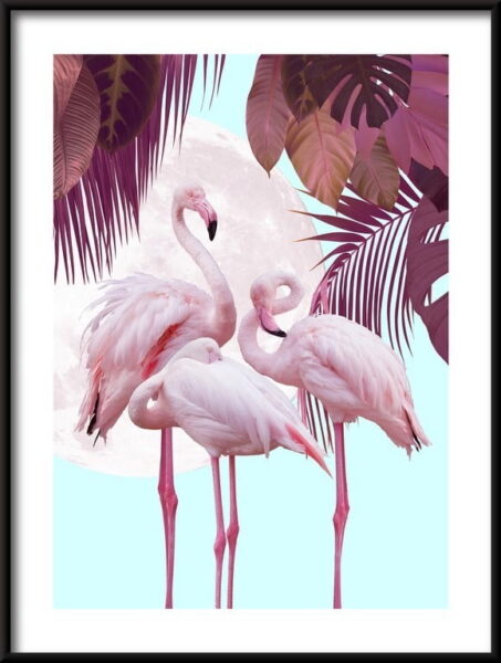 Flamants roses sur le fond de l'affiche de la lune