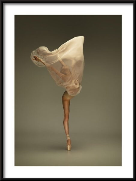 Affiche de danse ballerine