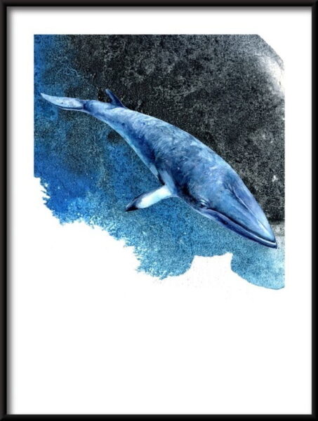 Baleine dans l'affiche de l'océan