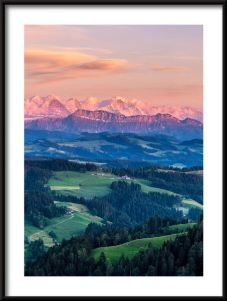 Affiche Prairies et forêts à la montagne