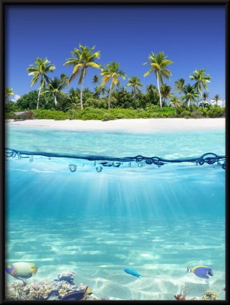 Île tropicale Poster – Image 4