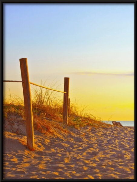 Le chemin dans le sable – Image 4