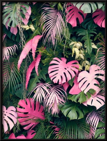 Arbres tropicaux Poster – Image 4