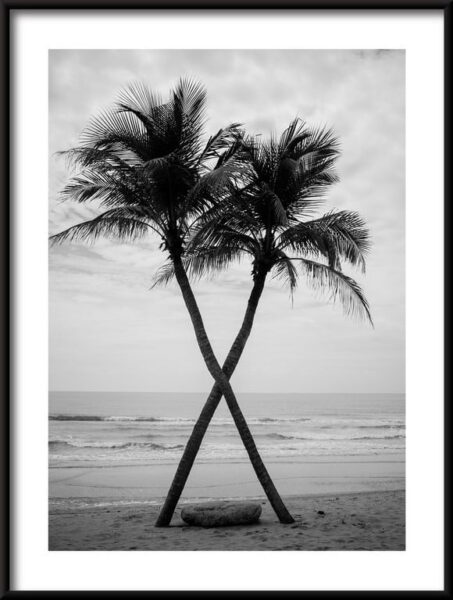 Affiche Palmiers sur la plage