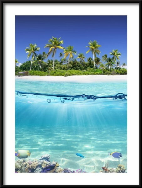 Île tropicale Poster