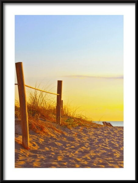 Le chemin dans le sable