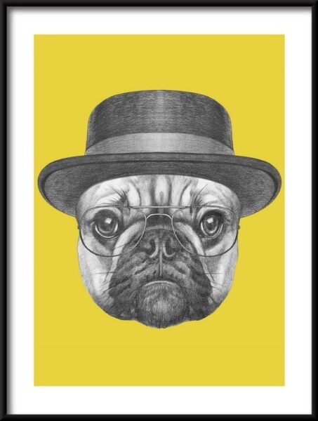 Affiche bouledogue français