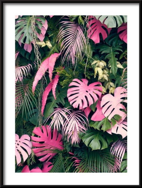 Arbres tropicaux Poster