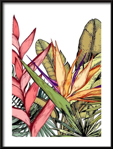Feuilles de palmiers tropicaux Poster