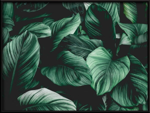 Feuilles tropicales Poster – Image 2