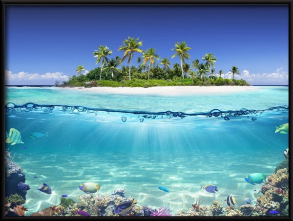 Île tropicale Poster – Image 3