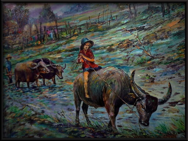Bébé sur un buffle – Image 2