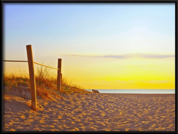 Le chemin dans le sable – Image 3