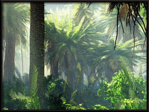 Affiche Jungle dans la brume matinale – Image 2