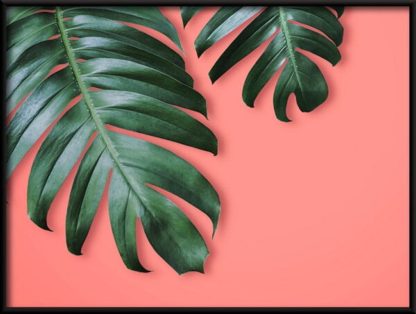 Feuilles tropicales Poster – Image 2