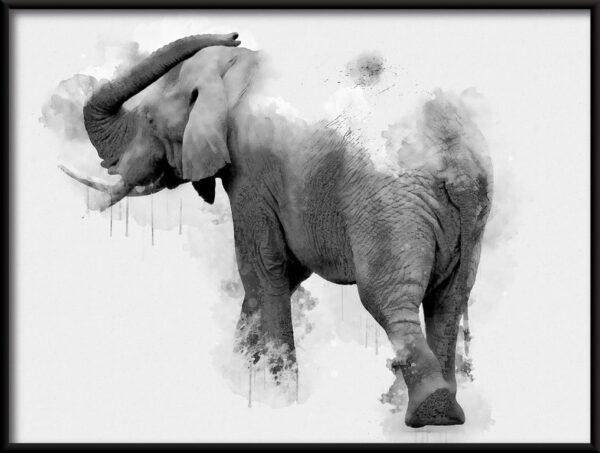 Bel éléphant peint Poster – Image 2