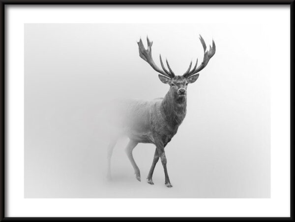 Affiche Cerf dans la brume – Image 2