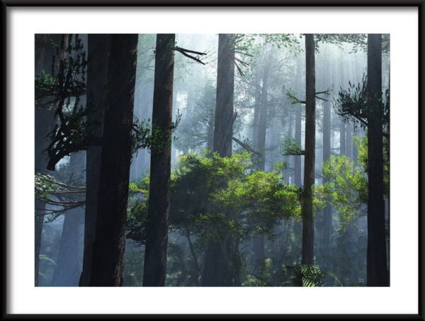Matin brumeux dans l'affiche de la forêt