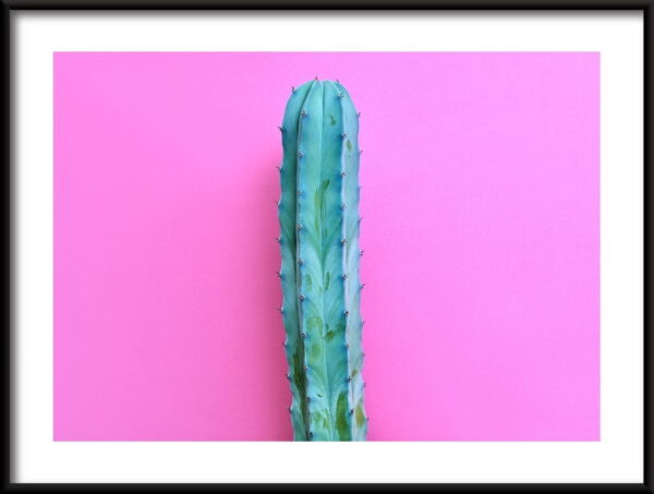 Humeur de néon de cactus Poster – Image 2