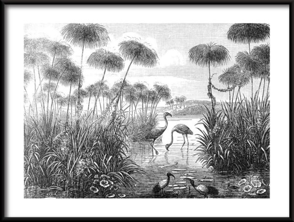 Flamant rose rétro Poster