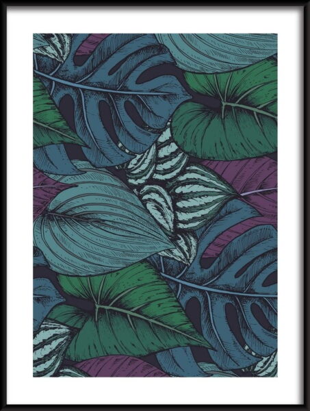 Plantes tropicales