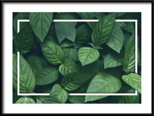 Affiche De Feuilles Vertes Dans Un Cadre