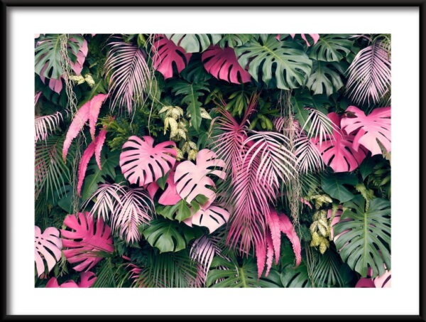 Arbres tropicaux Poster – Image 2