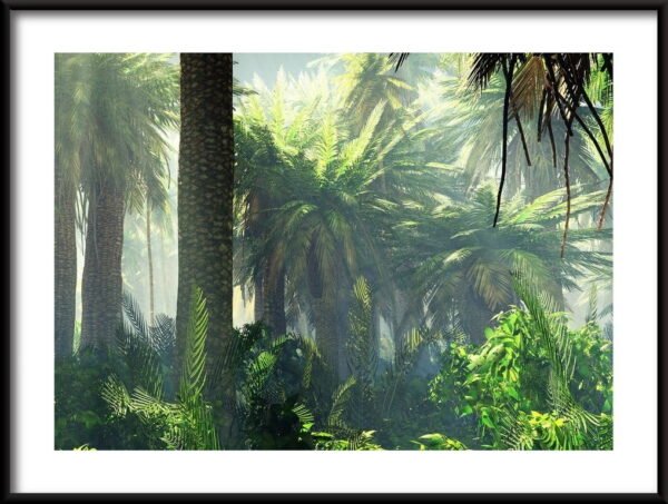 Affiche Jungle dans la brume matinale