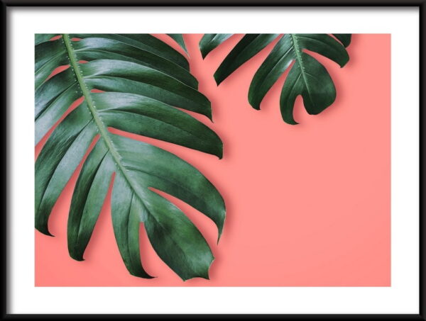 Feuilles tropicales Poster