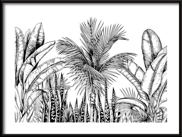 Affiche jungle noir et blanc