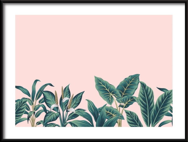 Plantes tropicales