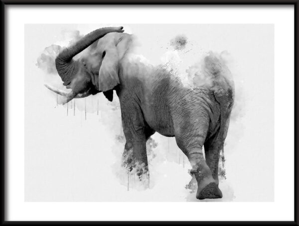 Bel éléphant peint Poster