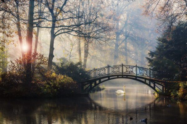Peinture murale Paysage brumeux