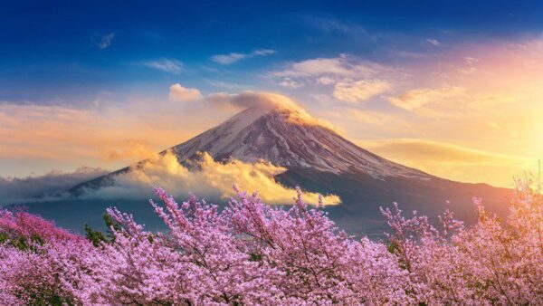 Peinture murale Mont Fuji Japon