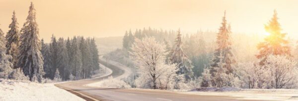 Peinture murale Paysage d'hiver