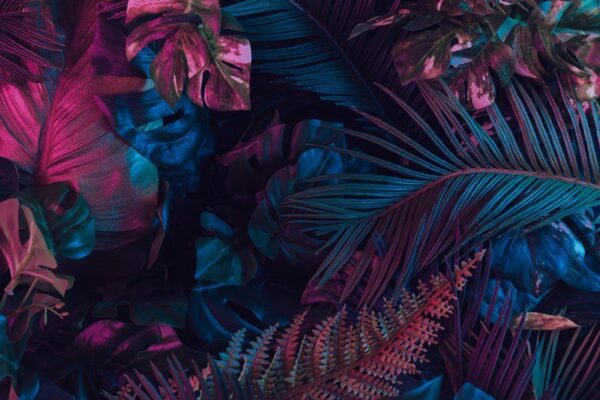 Peinture murale Feuilles tropicales