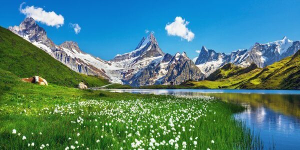 Peinture murale Paysage d'été
