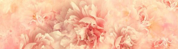 Sticker mural Oeillets roses