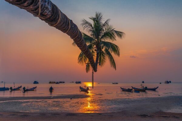 Peinture murale Coucher de soleil
