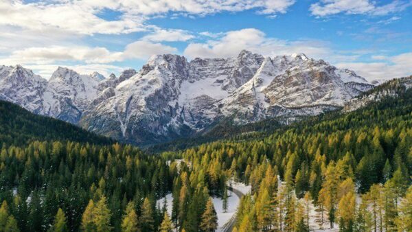 Peinture murale Paysage de montagne