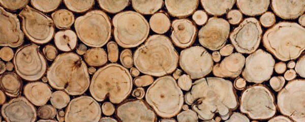 Peinture murale Pieux en bois