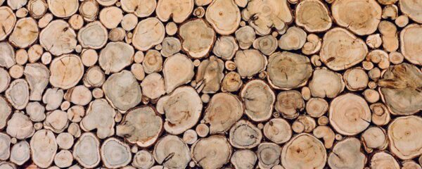 Peinture murale Pieux en bois