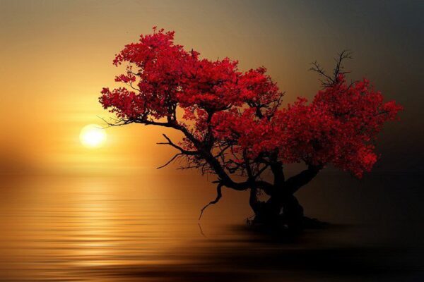 Peinture murale Arbre