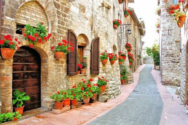 Peinture murale Ruelle avec des fleurs